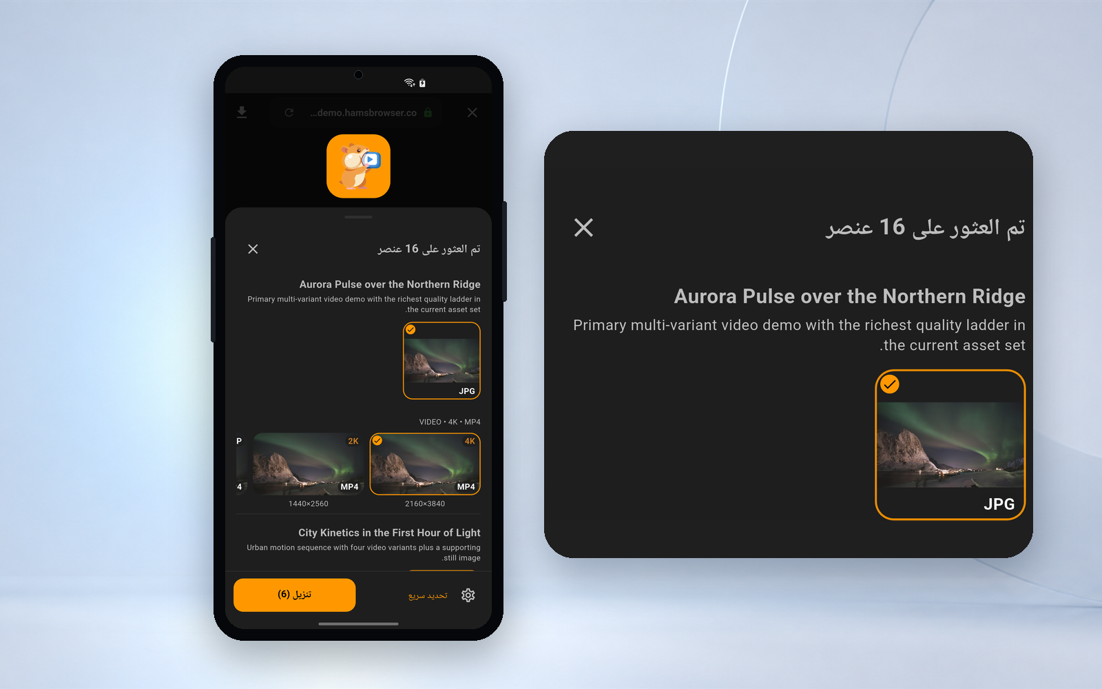 Hams download panel interface