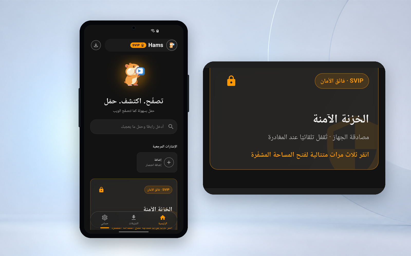 Hams Private Vault interface