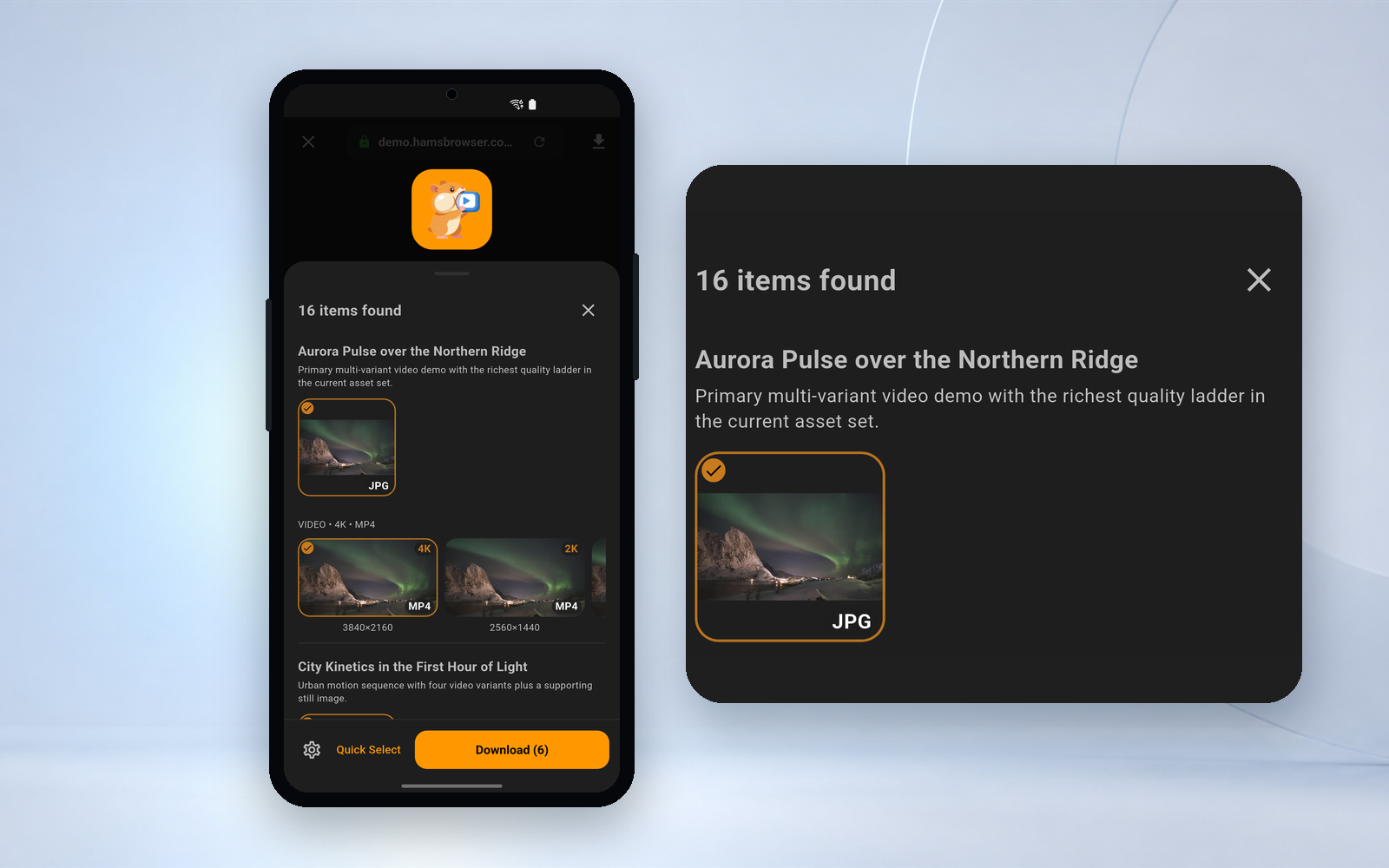 Hams download panel interface