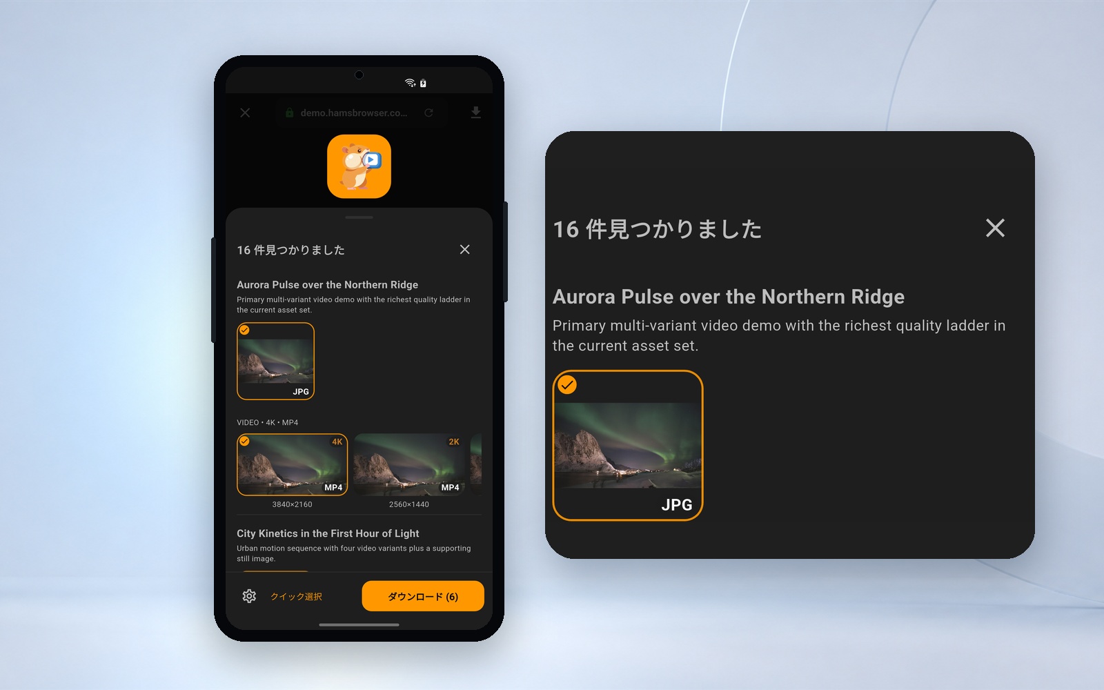 Hams download panel interface