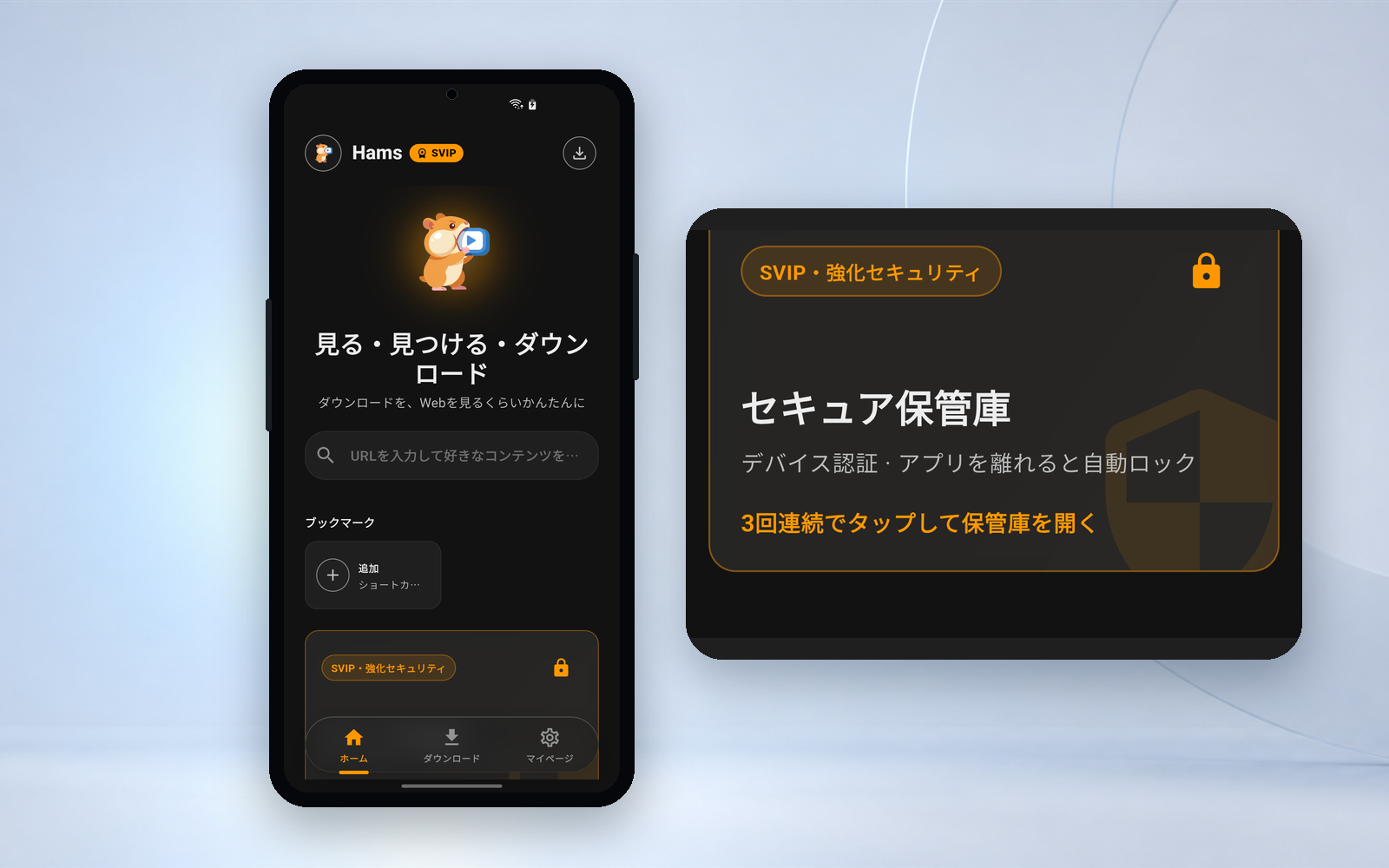 Hams Private Vault interface
