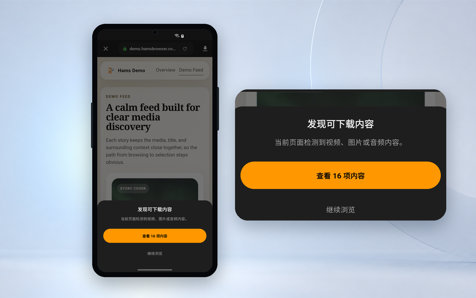 Hams 浏览器媒体发现界面示意